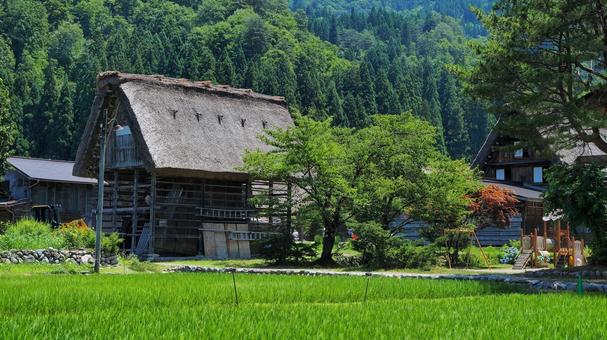 Shirakawa-go, shirakawago, japanese architecture, natural, JPG