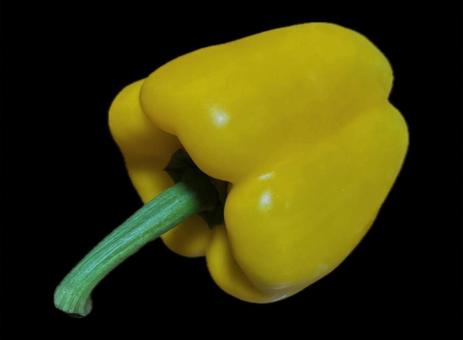 パプリカ　黄色の写真