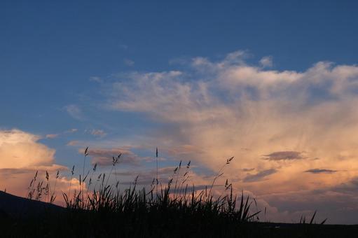 evening, JPG