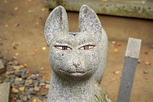 厳格な表情の稲荷狐の顔 狐,稲荷,稲荷狐の写真素材