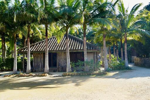 沖縄・琉球村⑦ 沖縄,琉球村,風景の写真素材
