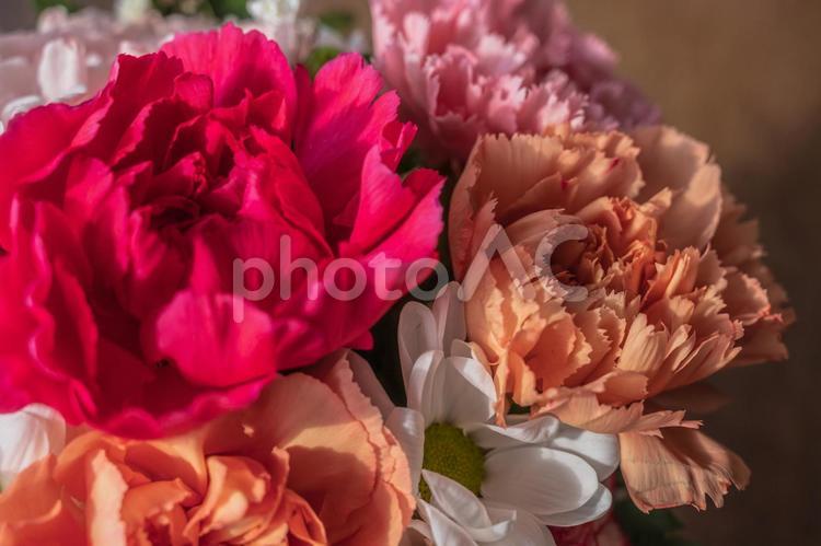 鮮やかなカーネーション(その８) フラワーギフト,花束,ブーケの写真素材