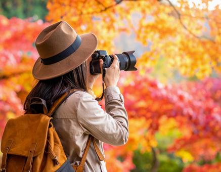 紅葉にカメラを構える女性 紅葉にカメラを構える女性の写真