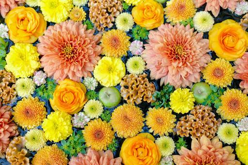 花手水 花手水,花,可愛いの写真素材