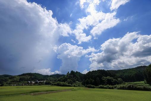 夏空 夏空の写真