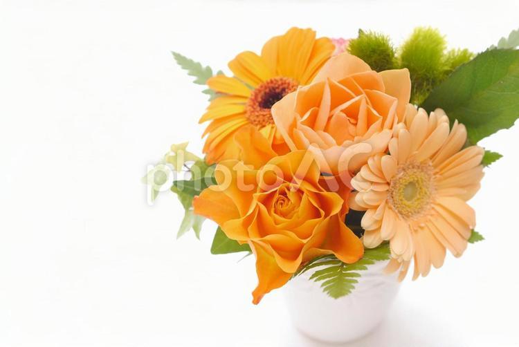薔薇とガーベラのアレンジ オレンジ,花,ガーベラの写真素材