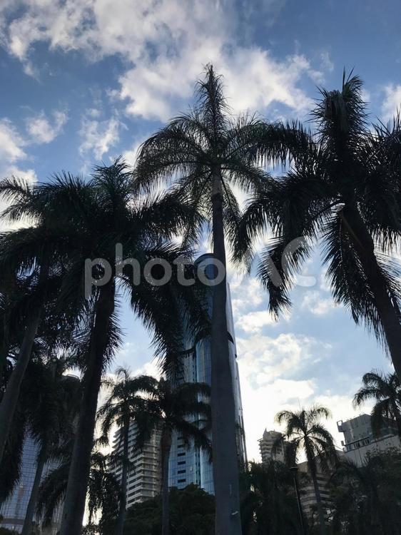 街の中の公園　Australia  町,街,風景の写真素材