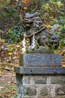 黄金山神社⑽ 神社,黄金山神社,神社仏閣の写真素材