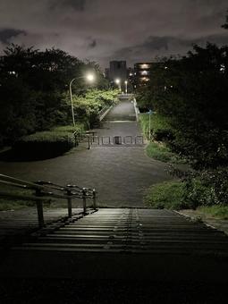 夜の公園散歩 夜の公園散歩の写真