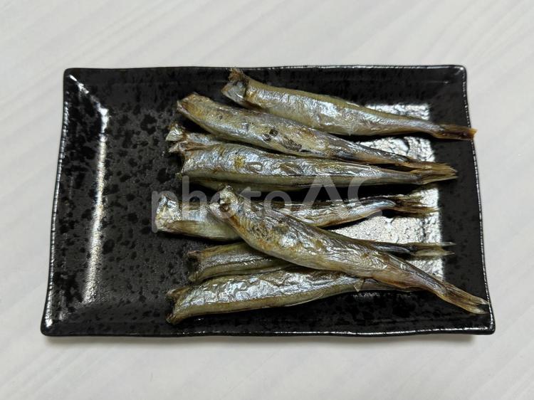ししゃものイメージ ししゃも,魚,イメージの写真素材