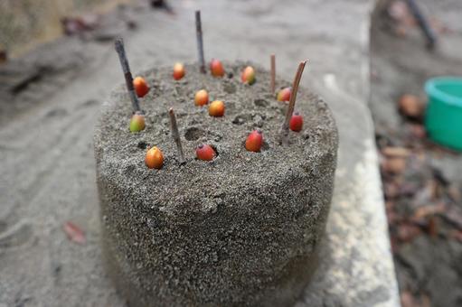 どんぐりで秋の砂遊び どんぐりで秋の砂遊びの写真