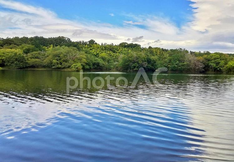 一碧湖の秋を待つ風 一碧湖,初秋,秋の写真素材