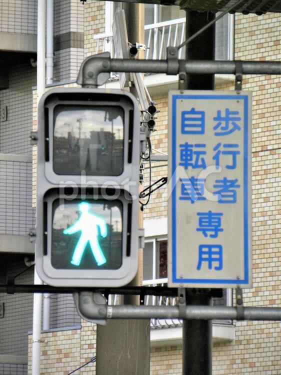 歩行者自転車専用　信号機　 信号機,横断歩道,青信号の写真素材