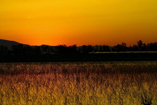 Evening Scenery, JPG