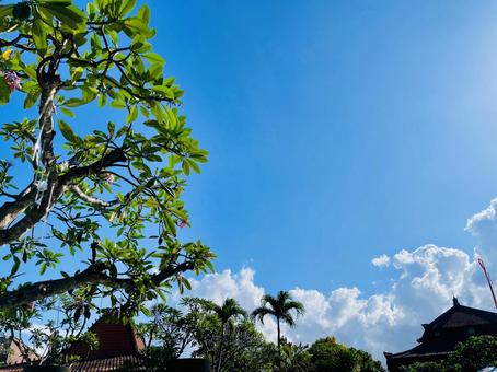 Photo, sky, blue sky, everlasting summer, 
