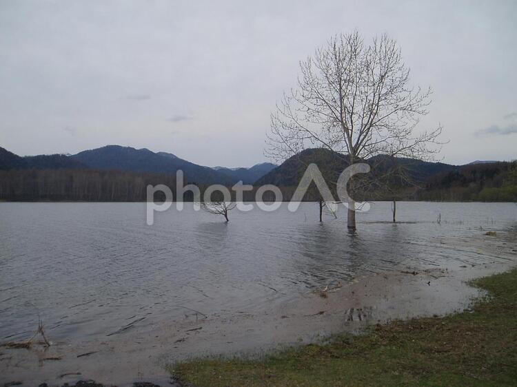 20130525置戸町おけと湖13 おけと湖,置戸町,北海道の写真素材