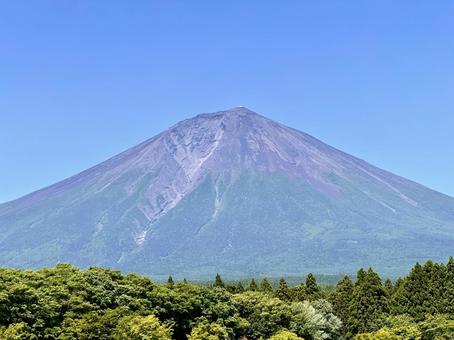 夏色に変わり始める富士山 夏色に変わり始める富士山 富士山,新緑,木の写真素材
