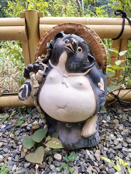 信楽焼き 信楽焼き 信楽焼き,信楽焼,滋賀県の写真素材