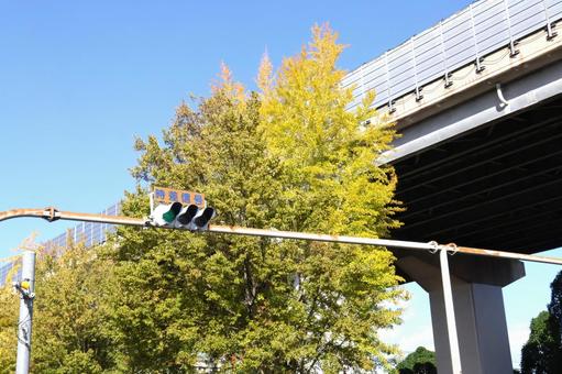 都会の秋の道路　街並み・町並み 道路,町並み,街並みの写真素材