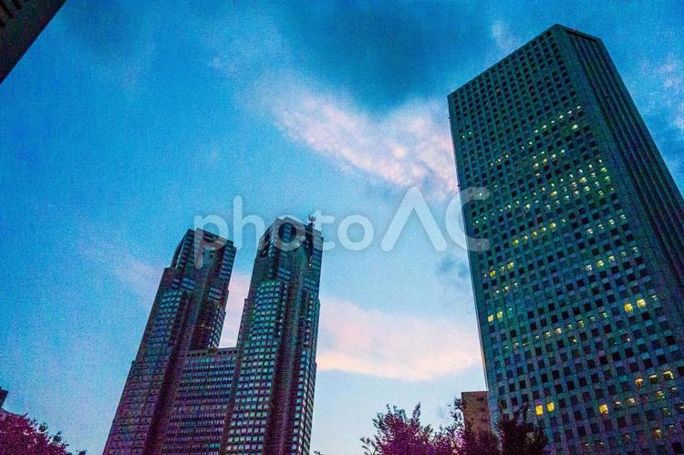 夕暮れの西新宿高層ビル街 西新宿,都庁,新宿の写真素材
