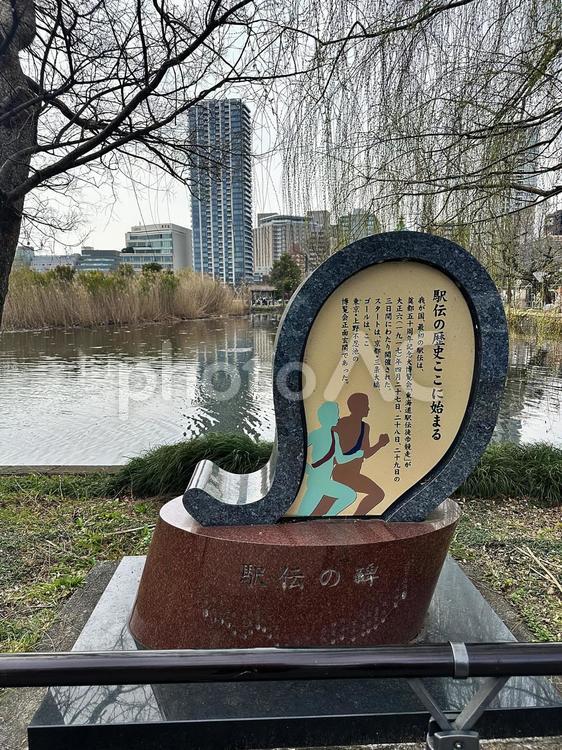 冬の上野公園　台東区　不忍池 上野恩賜公園,冬の上野公園,台東区の写真素材
