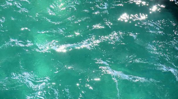 水面 水面の写真