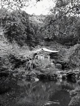 美しきモノクロの世界 美しきモノクロの世界の写真