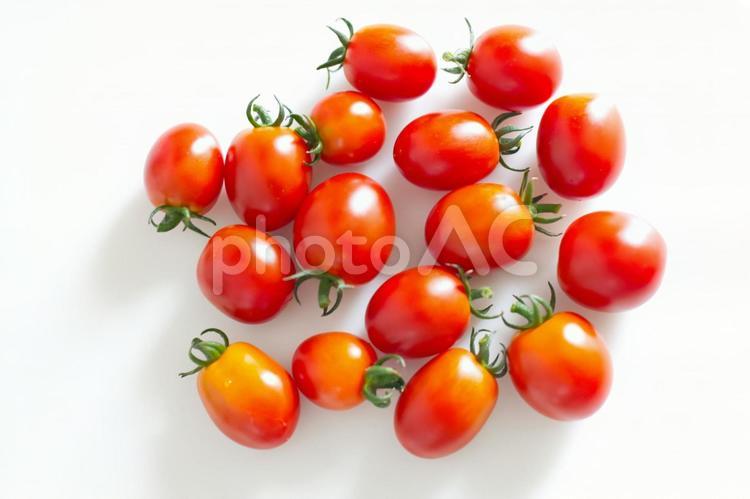 たくさんのトマト 野菜,夏野菜,トマトの写真素材