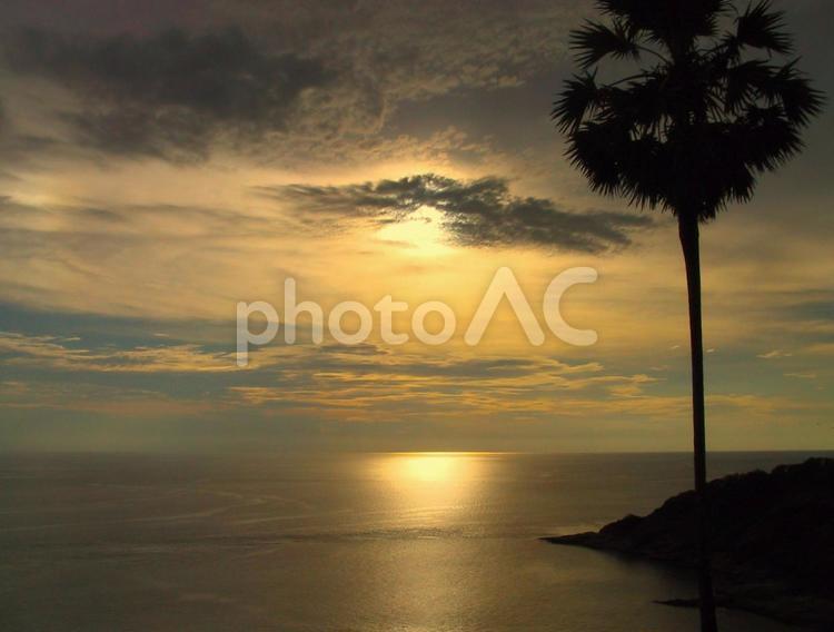 海に映る夕日 海,夕日,反射の写真素材