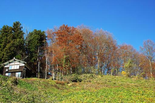 25年　山古志紅葉 秋,自然,空の写真素材