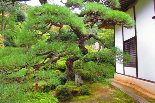 岡山県-大通寺-開山堂と庭園 岡山県-大通寺-開山堂と庭園 大通寺,寺,大通禅寺の写真素材