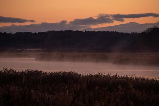 暁に白く霞む別寒辺牛湿原を覆う霧 湿原,朝焼け,霧の写真素材
