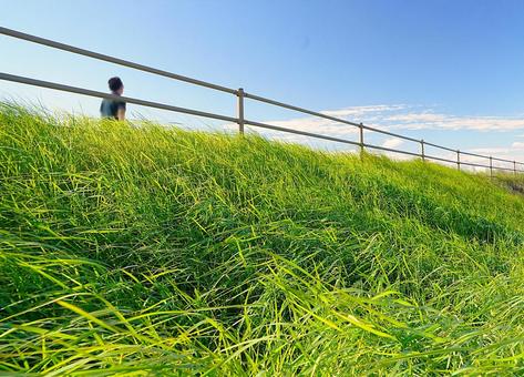 風の土手②(ボカシ) 風の土手②(ボカシ) 草原,土手,川の写真素材