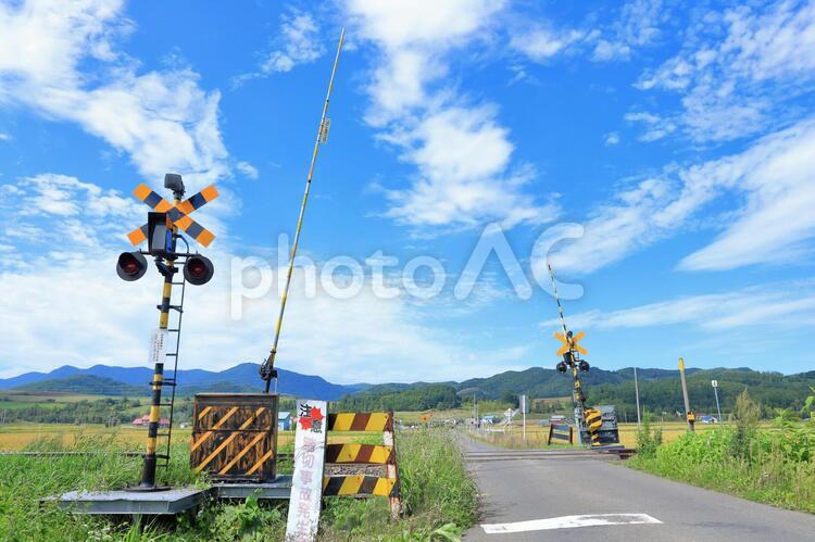 田園地帯の踏切 踏切,線路,鉄道の写真素材