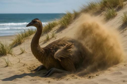 海辺の砂丘で休むモア 海辺の砂丘で休むモアの写真