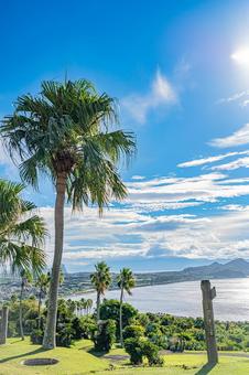 鹿児島　開聞山麓自然公園（トカラ馬牧場） 開聞山麓自然公園,トカラ馬牧場,開聞岳の写真素材