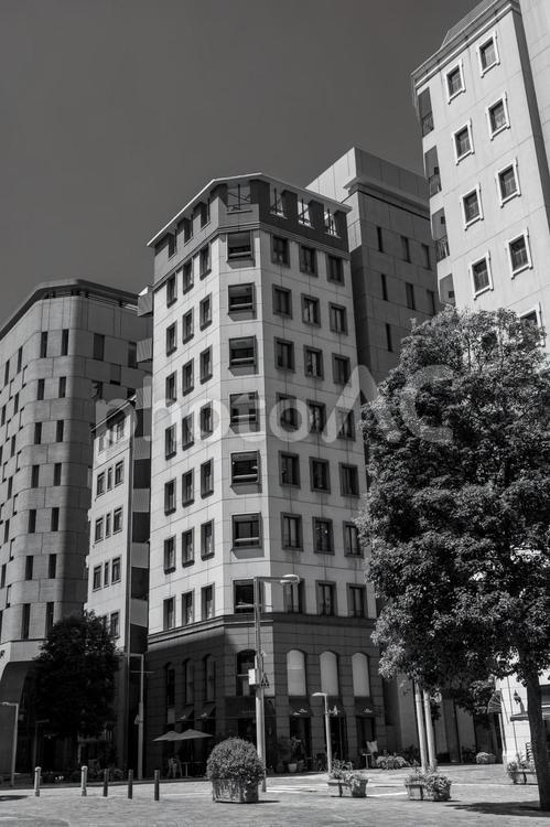 汐留イタリア街のビル モノクロ,汐留イタリア街,汐留の写真素材