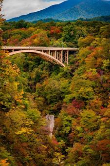 宮城県　鳴子峡の秋の風景 宮城,宮城県,大崎市の写真素材