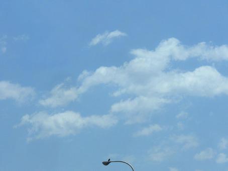 鳥の止まった街路灯 鳥の止まった街路灯 青空,雲,街路灯の写真素材