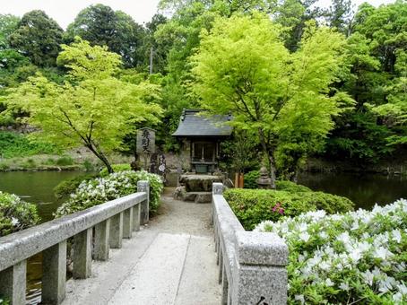 A shrine surrounded by azaleas, JPG