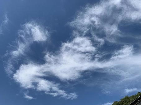 狛犬雲 狛犬雲の写真