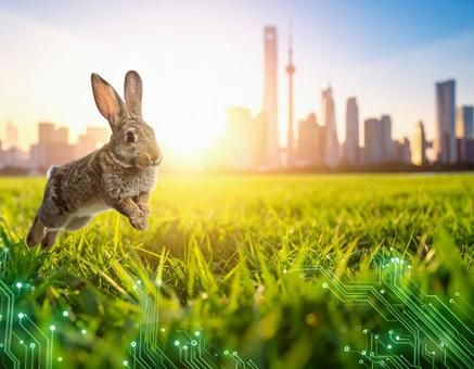 卯年フォト・未来都市を飛び跳ねるウサギの写真