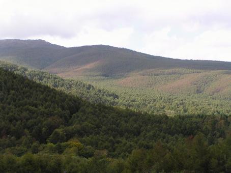長野　松本　美ヶ原の写真