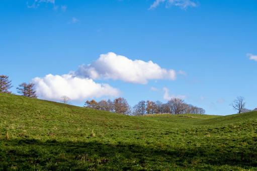 晩秋の丘陵に浮かぶ積雲と澄んだ青空 丘,青空,白い雲の写真素材