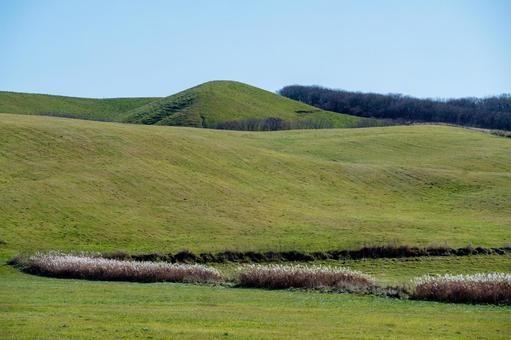 柔らかな光に包まれた秋の丘 丘,起伏,丘陵の写真素材
