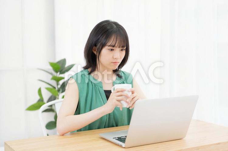 PCを見ながら飲み物を飲んでいる若い女性 飲み物,リラックス,女性の写真素材