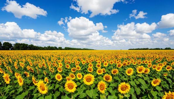 F_Stockphoto_7 F_Stockphoto_7の写真