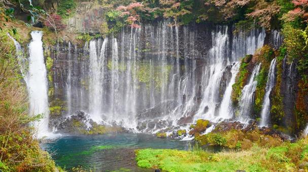 美しい白糸の滝 白糸の滝,滝,紅葉の写真素材