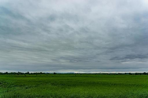 曇り空 曇り空の写真