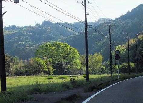 若葉が美しい木々とカーブする道路 若葉が美しい木々とカーブする道路の写真